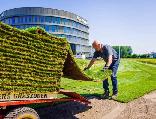 kuypers-graszoden-bv-biezenmortel-leverancier-van-graszoden